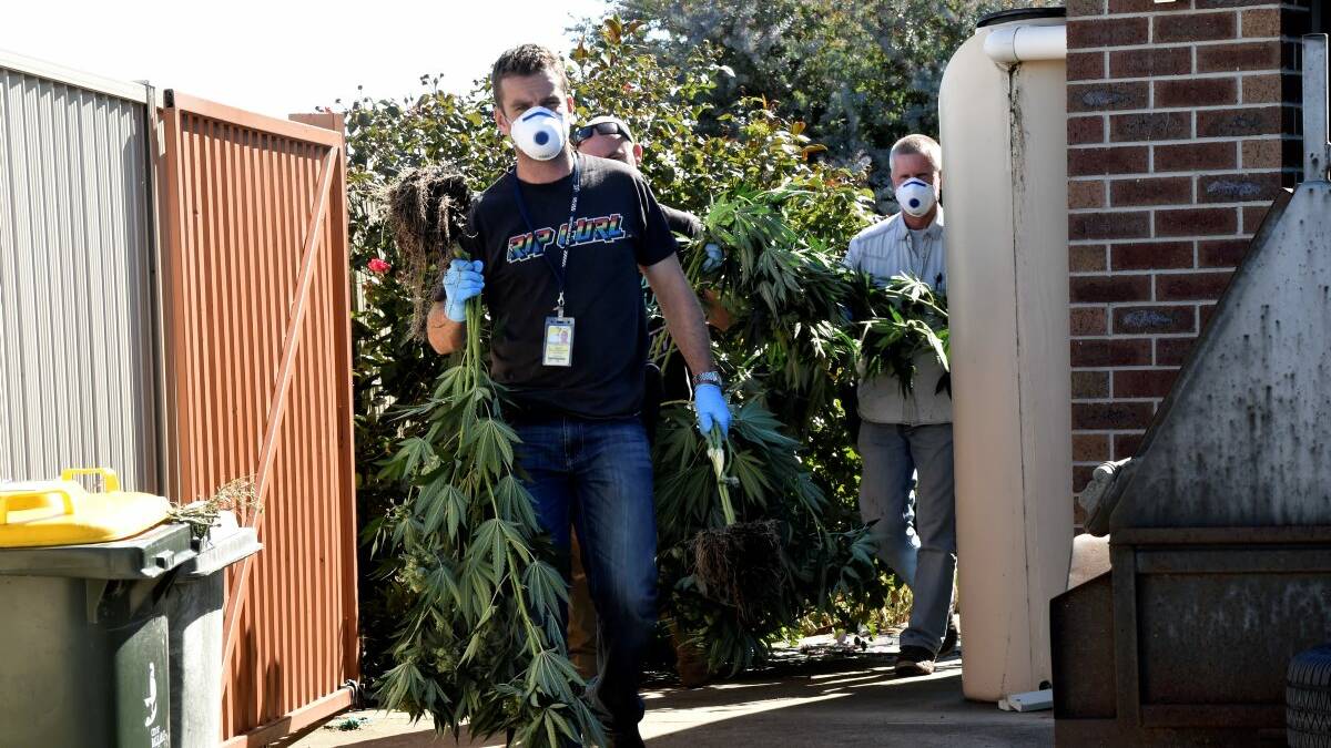 Police officers removing cannabis from the house in Canadian. PICTURE: JEREMY BANNISTER