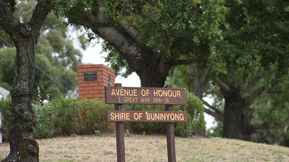 Buninyong Avenue of Honour. PICTURE: LACHLAN BENCE