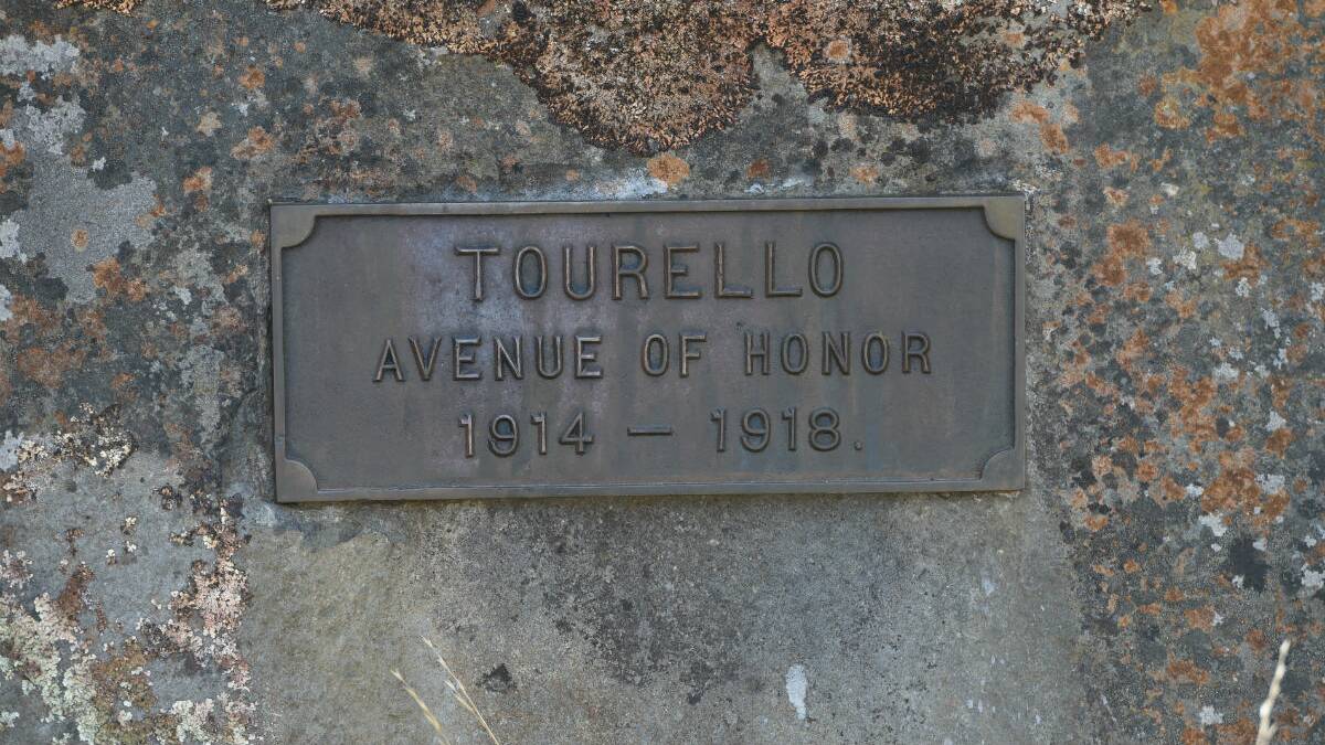 Tourello Avenue of Honour. PICTURE: LACHLAN BENCE