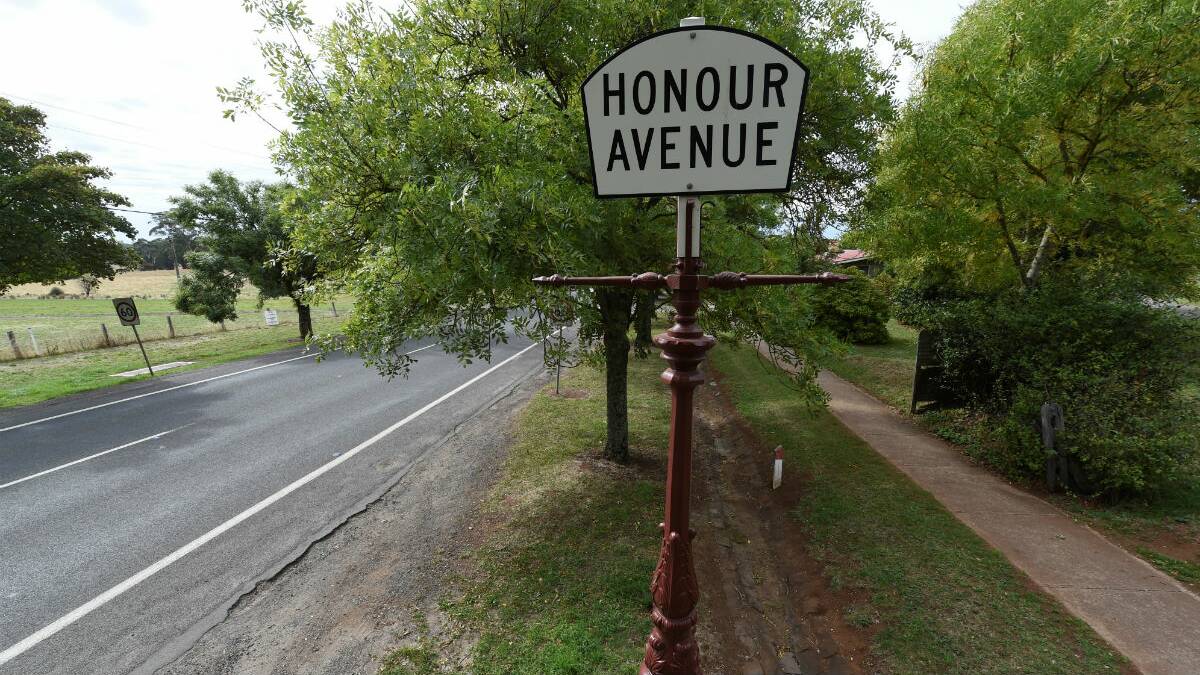 Daylesford Avenue of Honour. PICTURE: LACHLAN BENCE