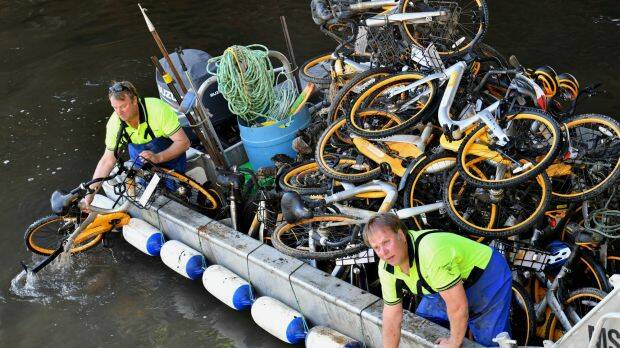 Contractors collect oBikes from the Yarra River. Photo: Joe Armao

