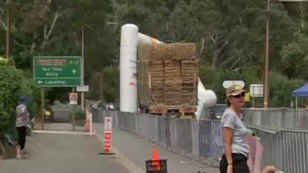 A truck laden with hay drags away the finish line of the Tour Down Under. Photo: ABC News

