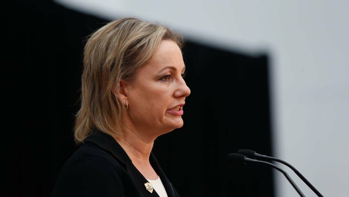 Sussan Ley. Picture: MARK JESSER