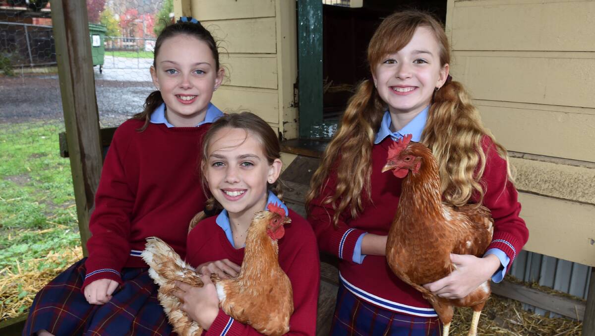 St Francis Xavier Primary School grade five pupils Bella, Isabella and Maddi. PICTURE: LACHLAN BENCE