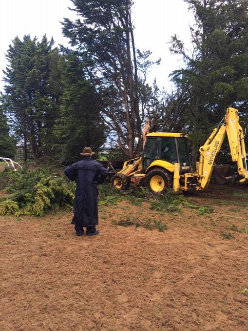 Tree debris is cleared away at the turf club.