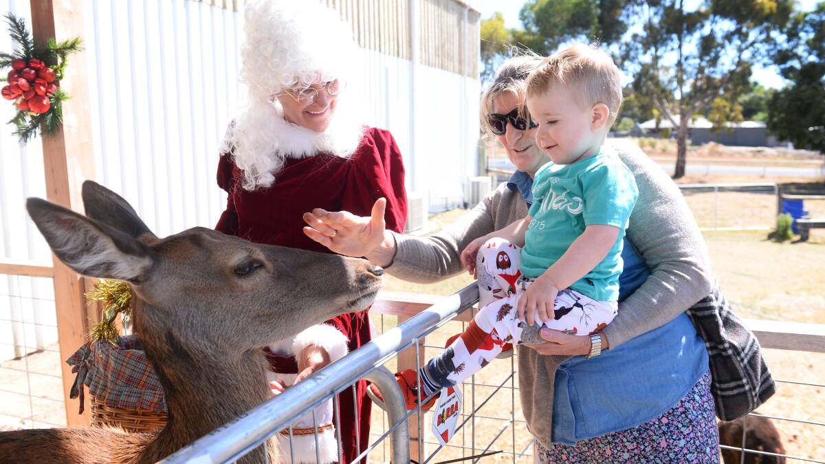 Rhonda Southwell helps two-year-old Banjo Peverill get up close with Mrs Claus’ reindeer. PICTURE: ADAM TRAFFORD