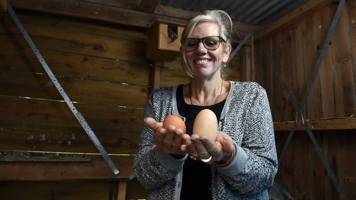 Colleen Farmer displays the giant egg and, inset, the egg’s size in comparison to some of its companions. PICTURES: JUSTIN WHITELOCK
