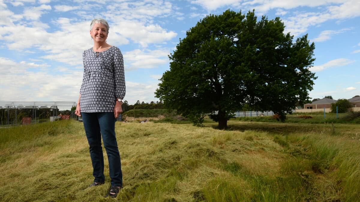 Pam Strange next to the 157-year-old oak tree which was planted by her ancestors.
PICTURE: ADAM TRAFFORD