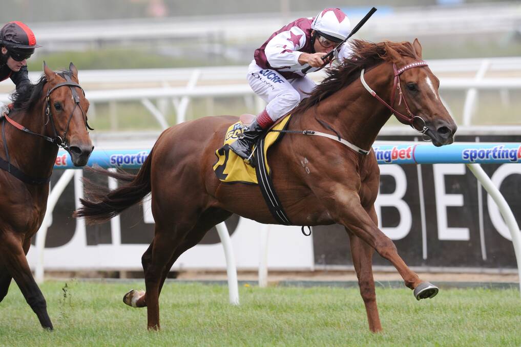 rust In A Gust has drawn gate three for the $500,000 BTC Cup at Doomben.
