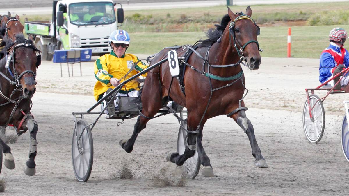 Gavin Lang urges Guaranteed to the line in Sunday’s Kilmore Pacing Cup. PICTURE: Harness Racing Victoria