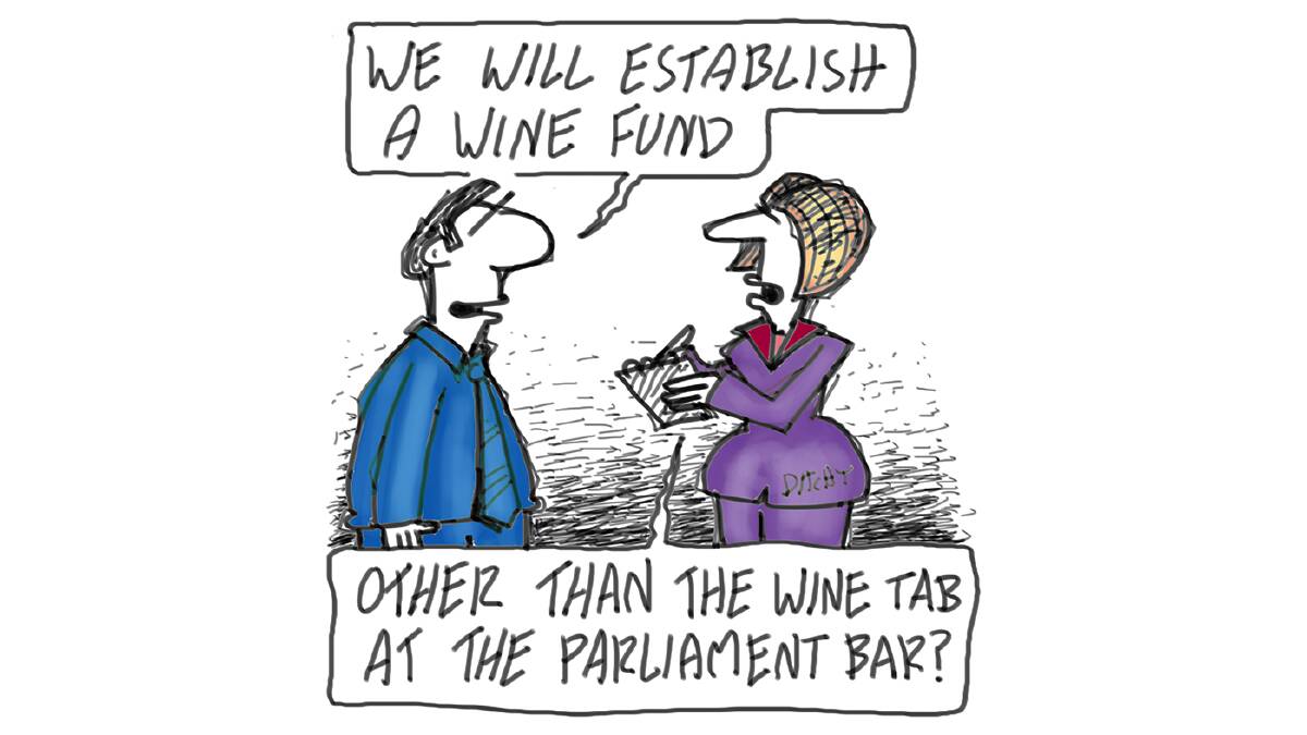 Funding for wine strategy