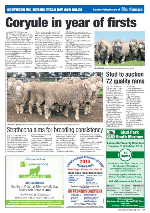 Southern Vic Merino Field Day and Sales