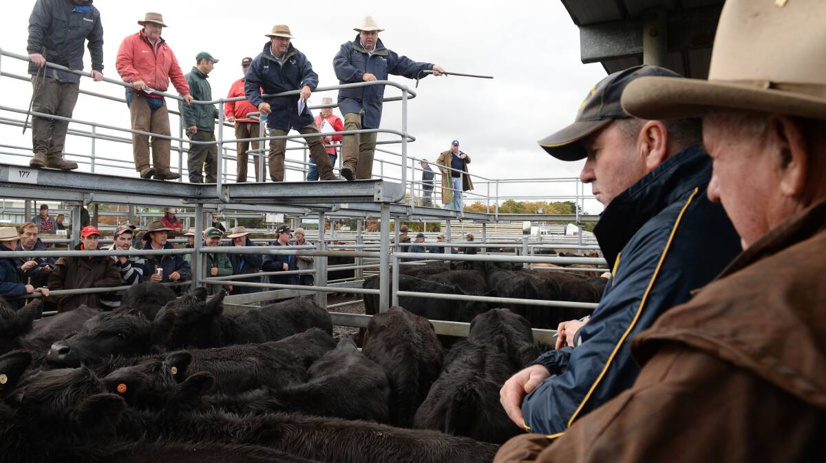 The Ballarat Council wants the approval process for the proposed saleyards at Miners Rest sped up. PICTURE: Kate Healy
