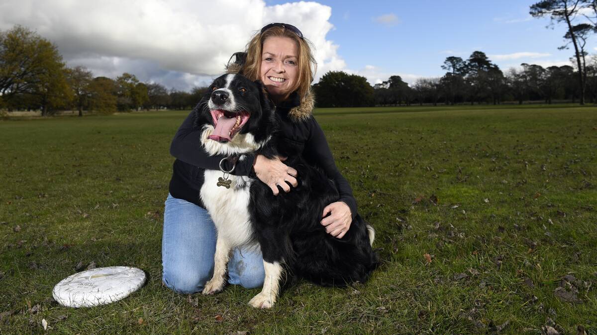 Lisa Bawden loves Wilson the border collie's energy but says work dog breeds aren't for everyone. PICTURE: JUSTIN WHITELOCK