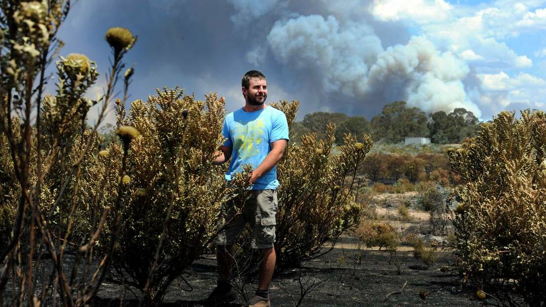 WIMMERA: Matt Adlington inspects burnt banksias on his Mt Talbot farm as fire rages behind. Picture: PAUL CARRACHER. 