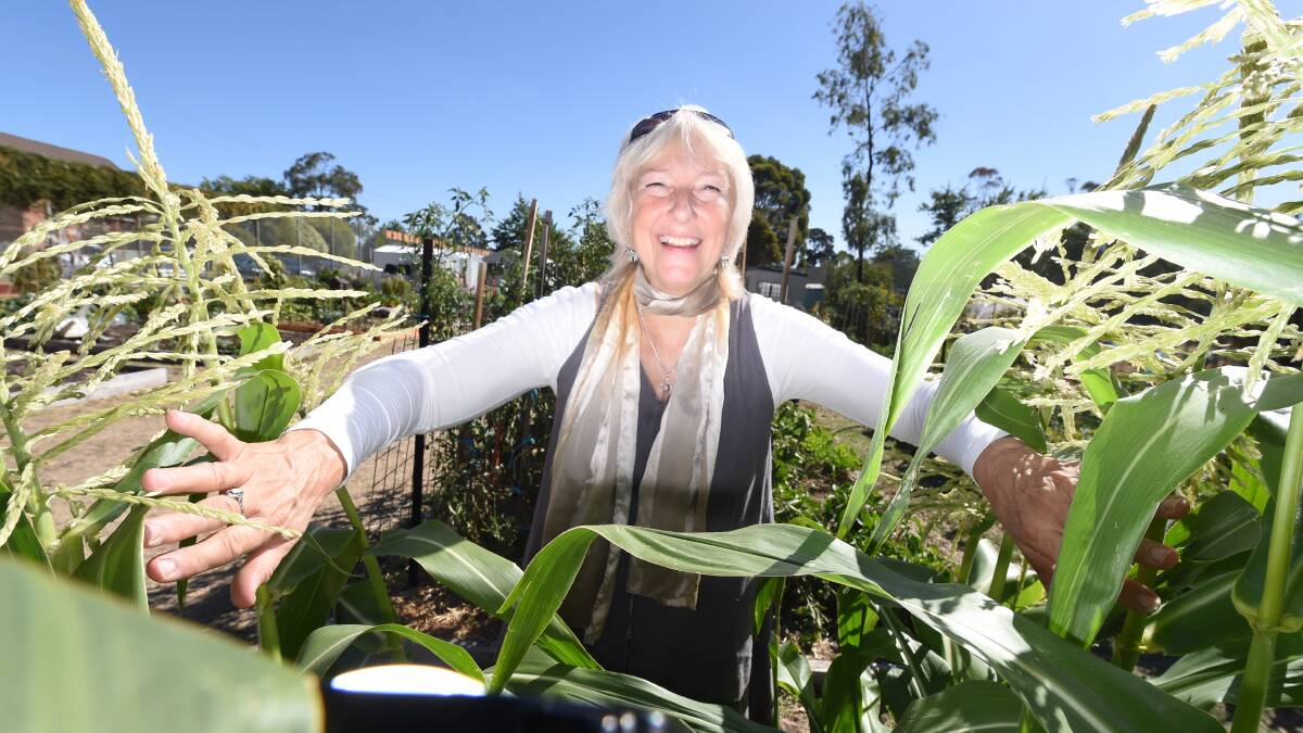 Ballarat Community Garden chairperson Sheilagh Kentish is set for the Harvest Festival.