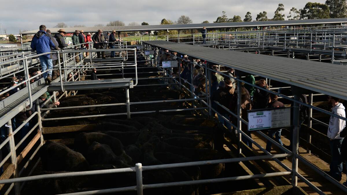 Public comment will be sought on the new Miners Rest saleyards.