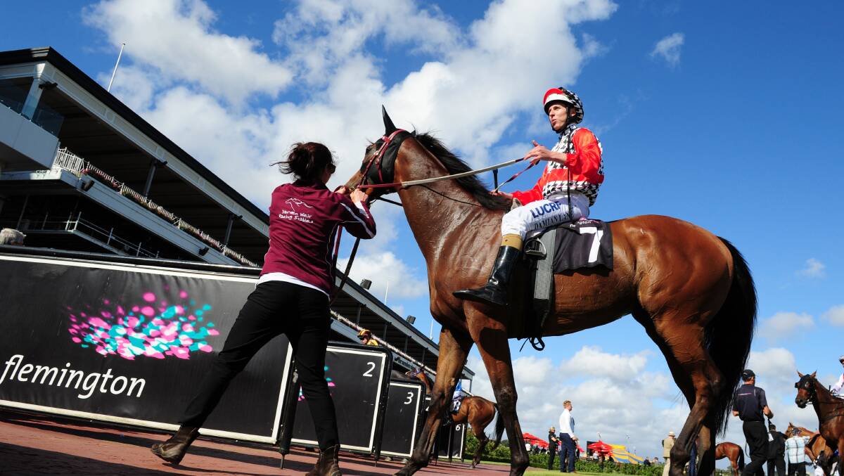 Darren Weir-trained Magnus Reign (Damian Lane) is led back to scale after winning at Flemington on Saturday. PICTURE: GETTY IMAGES