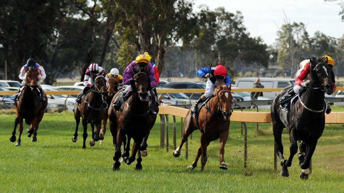 Ballarat mare Tejon finds firm footing on synthetic turf