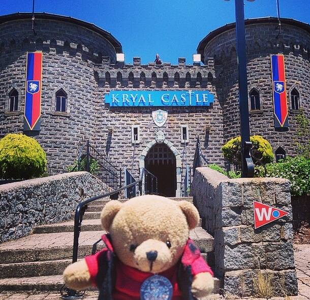 Toby the travelling bear hiked to Kryal Castle yesterday. His personal photographer @tobytravels uploaded this pic to Instagram using #ballarat.