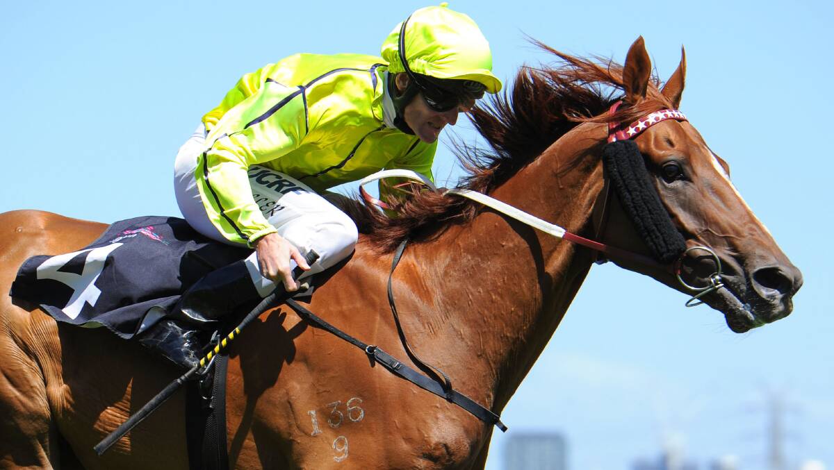 The Darren Weir-trained Taiyoo is a favourite for next Monday’s Adelaide Cup. 