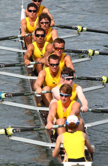The Wetern Australian Mens crew row to the start of the Interstate Mens Eight race to compete for the KIngs Cup during the Rowing World Cup. Photo: Getty