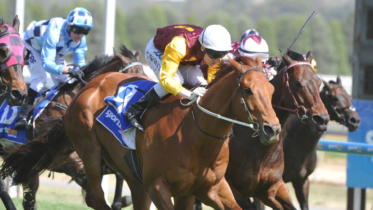 Race seven : Mighty Like steals Tonks Plate