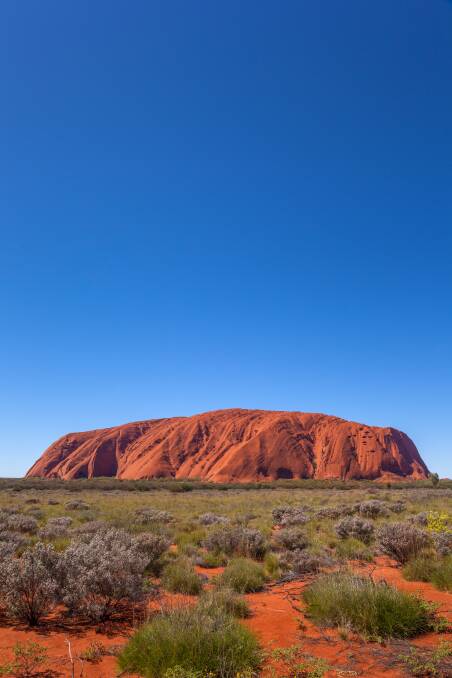 Drongos who climb Uluru determined to be ignorant