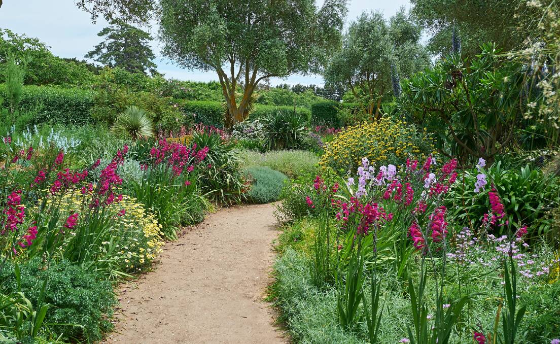 GREENER GRASSES: The Lambley Gardens in full bloom will be featured on the ABC's flagship gardening program 'Gardening Australia' with Carolyn Blackman. 