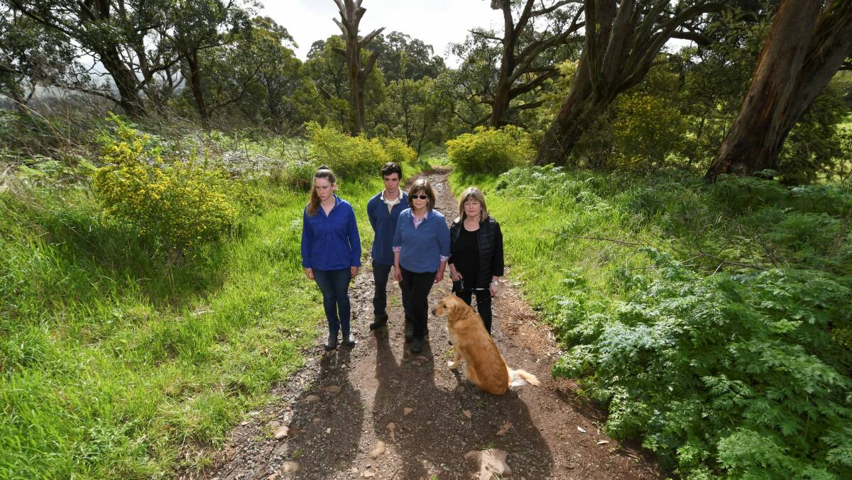 ROAD WARRIORS: Catherine Cornish, Andrew Cornish, Libby Cornish, and Michelle Pearson are fighting for Blackberry Lane. Picture: Lachlan Bence. 