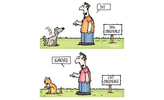 OBEDIENCE: John Ditchburn illustrates the difference between training dogs and attempting to train cats. 