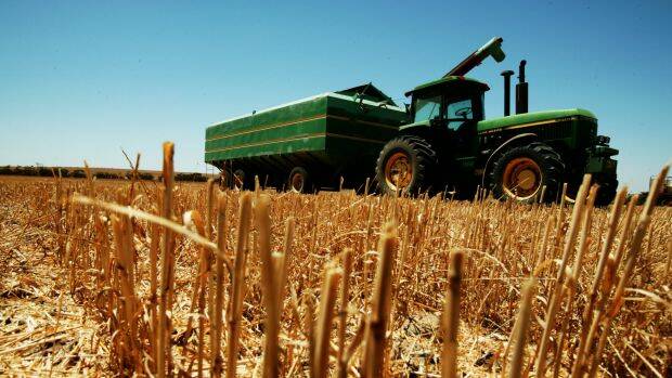 Farmer dies after being hit by tractor at Meredith farm