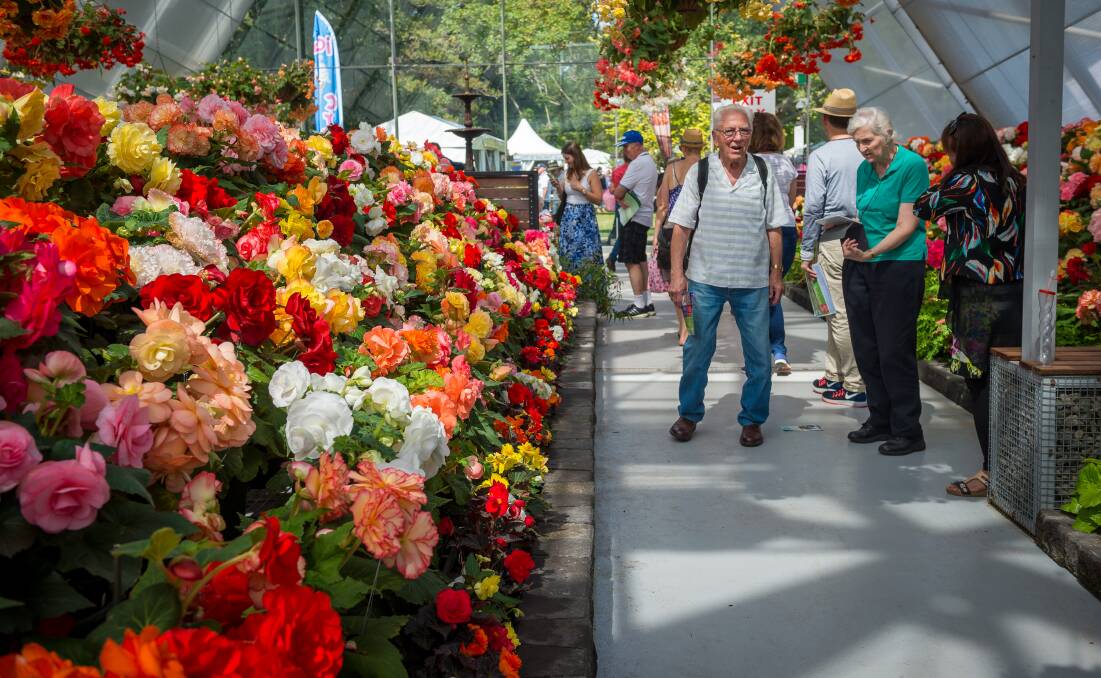 SUCCESS: Despite a slight drop in numbers the Begonia Festival remains one of the highlights of the Ballarat calendar.