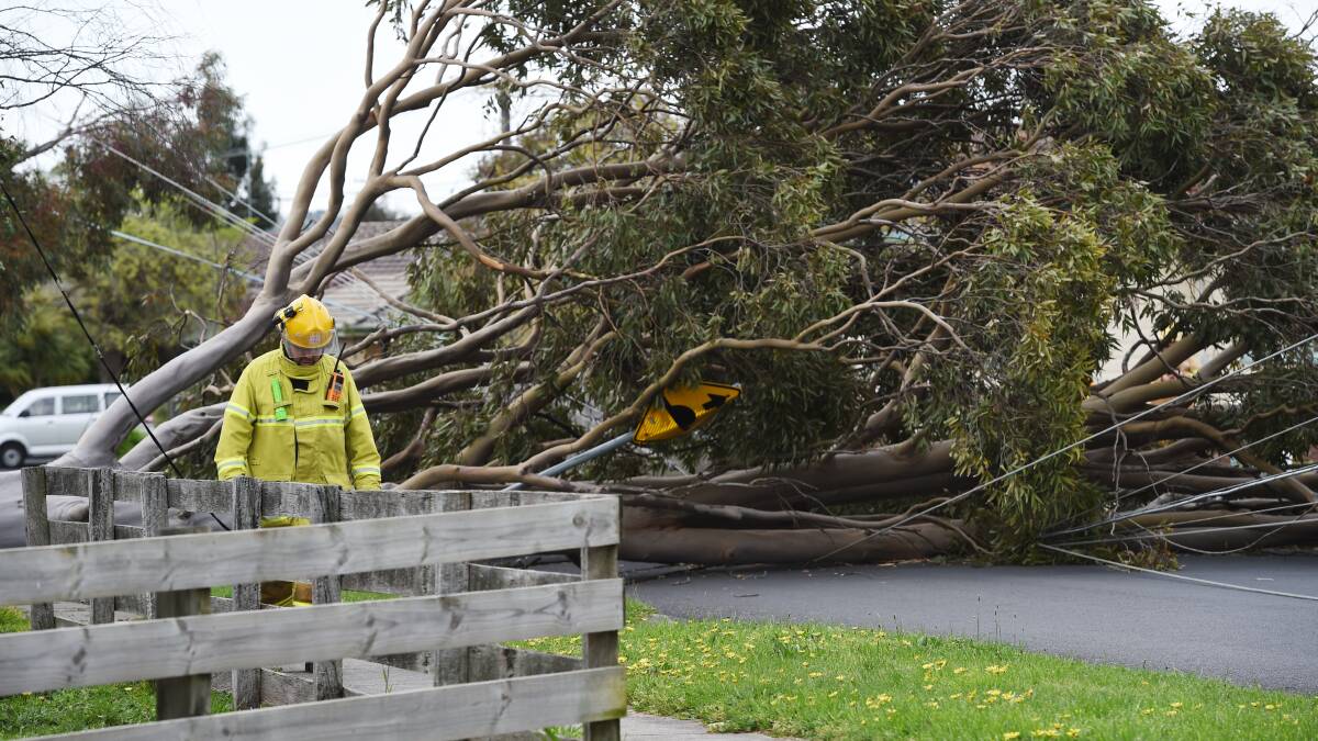 Recent storms  brought down trees all over Ballarat