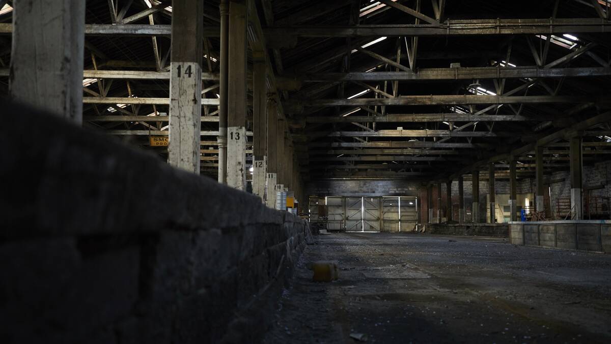 Plans to finally activate the long-derelict Railway Goods Shed should be greeted with excitement by Ballarat for revitalising a key central area but not everyone agrees 