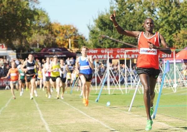 STUNNING: Kenyan Collins Cheboi gives a victory salute in the Herb Hedemann Invitation 1600m.