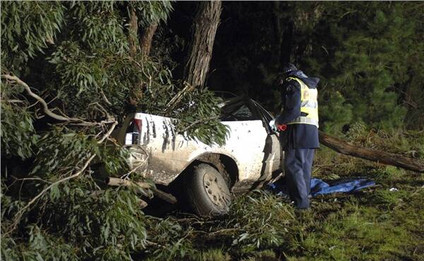 THE SCENE: Police inspect the utility after the crash at Linton on Saturday night which claimed the lives of two people.