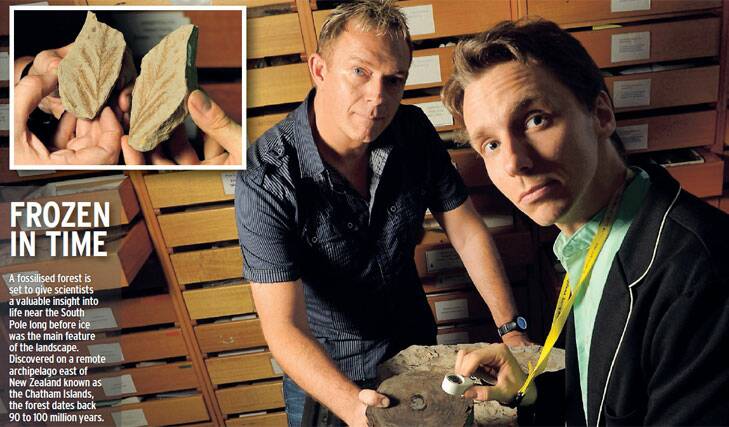 Monash University palaeontologist Jeffrey Stilwell (left) and palaeobotanist Chris Mays examine samples from the 100-millionyear-old fossilised forest discovered on the remote Chatham Islands.