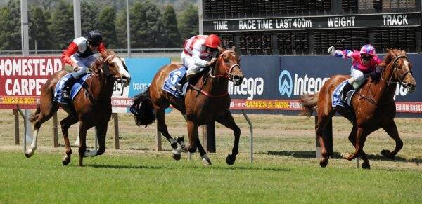 Jockey Mark Pegus made the most of a late pick-up ride to open Ballarat Cup Day with a win on Rhodes Scholar. Picture: Lachlan Bence