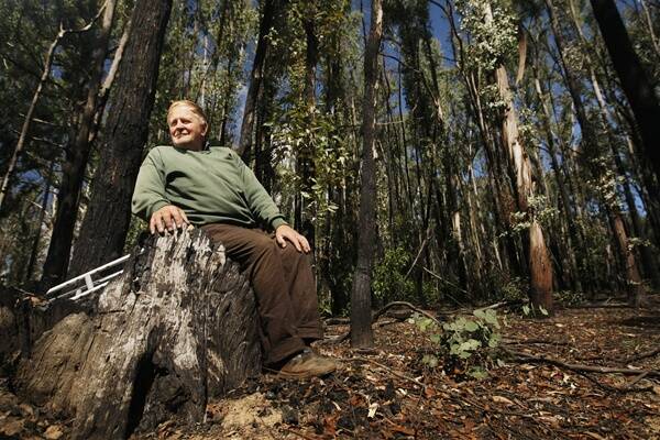 RECOVERY PROCESS: Brian Boase in the forest at Jubilee Lake, where fires a year ago threatened his sawmill business. Picture:  Daniel Hartley-Allen