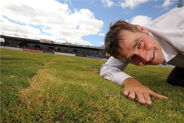 THIS GRASS IS GREENER: North Ballarat Football Club CEO Mark Patterson admires the new turf at Northern Oval yesterday.