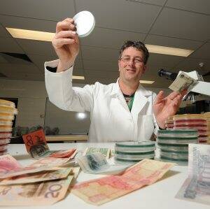 TESTING TIME: University of Ballarat food microbiologist Dr Frank Vriesekoop testing hundreds of banknotes from around the world to see how dirty they are. Picture: Zhenshi van der Klooster