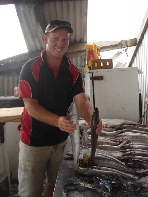 WHITING: One of the Sims boys with some of the whiting caught in South Australia