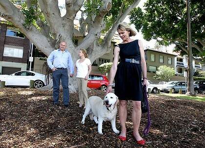 Fig drama ... Michelle Opie, with Harry Pearsall and Charlotte Feldman, under the fig trees the council has proposed to cut down along New Beach Road.