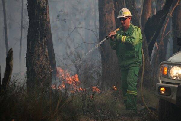 DSE acting Midlands district manager Scott Nicholson at a planned burn at Enfield, near the Ballarat-Colac Road.