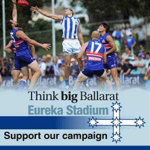Eureka Stadium revamp: Ballarat urged to get on board