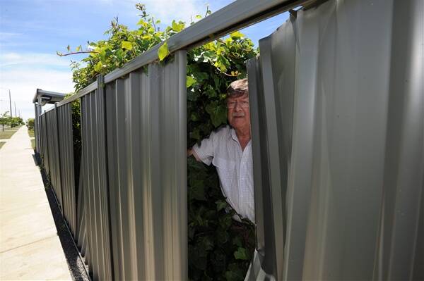 THE MORNING AFTER: Resident John Furness inspects his damaged fence. Picture: Jeremy Bannister