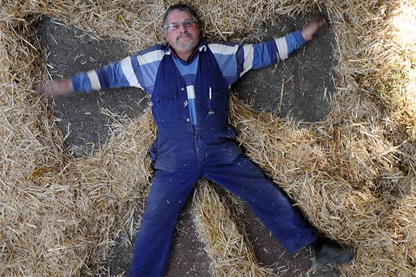 Society member Moss Wheaton makes snow angels in some of the 230 bales worth of straw being given away at the showgrounds today. Picture: Jeremy Bannister