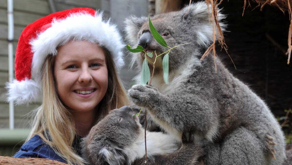 Lauren Pix and  Gemma and Mr. Snooze at the  Ballarat Wildlife Park. Pic Lachlan Bence 