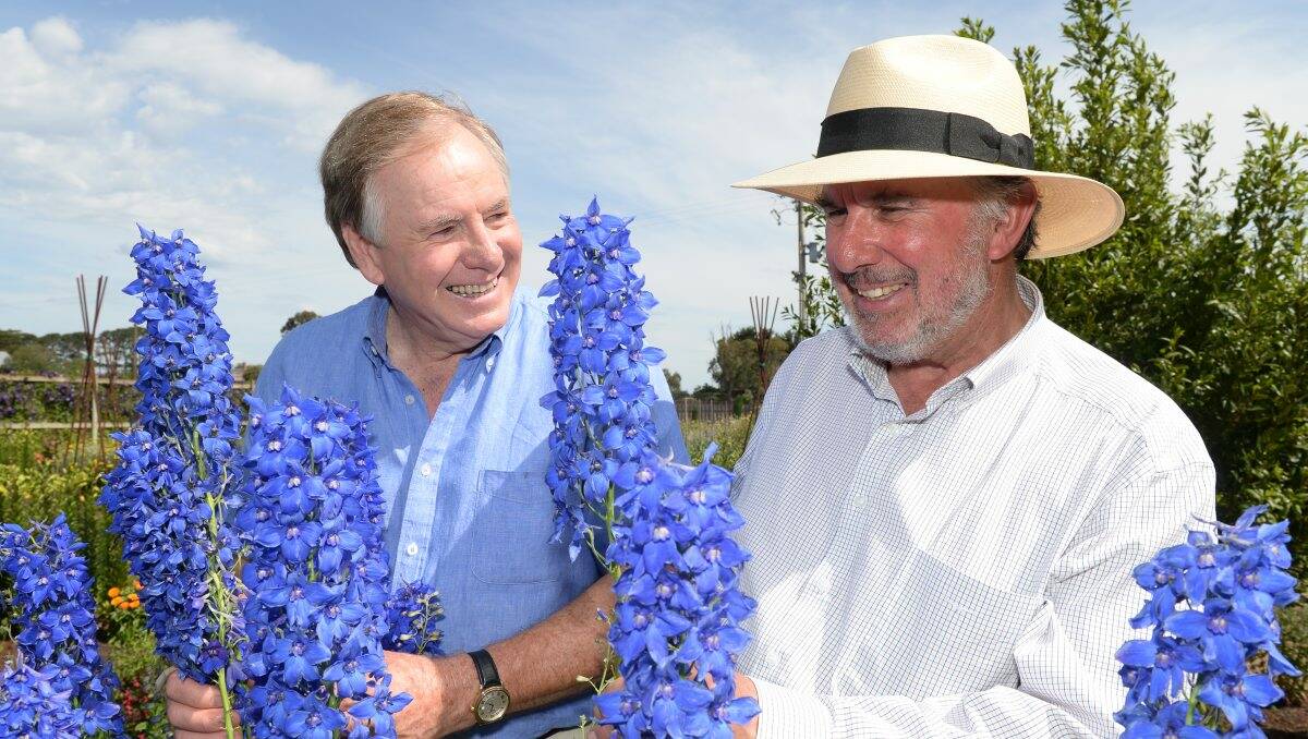 STAR nursery: Graham Ross and David Glenn during filming of Better Homes and Gardens in Ballarat. PICTURE: KATE HEALY 